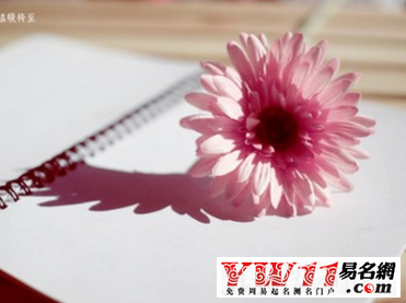 屬蛇人的2016年運(yùn)勢(shì)，屬蛇人運(yùn)勢(shì)怎么樣