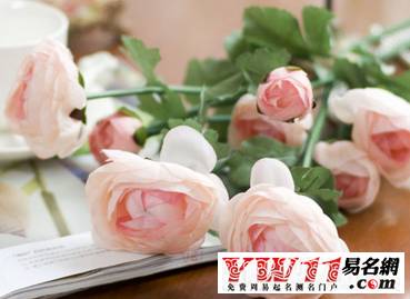 屬蛇人的2016年運(yùn)勢(shì)，屬蛇人運(yùn)勢(shì)怎么樣