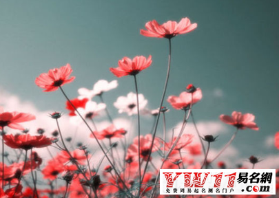 屬蛇人的2016年運(yùn)勢(shì)，屬蛇人運(yùn)勢(shì)怎么樣