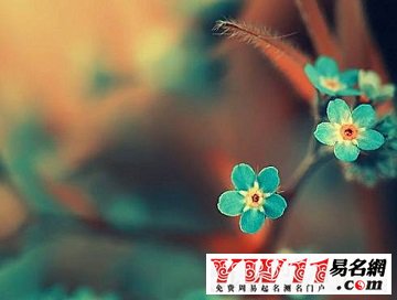 撕心裂肺的句子